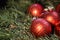 Red Christmas balls with golden lettering