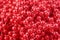 Red christmas beads