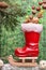 Red christmas boot with nuts on a sled