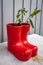 Red christmas boots plant pot with holly growing in them