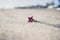 Red Christmas decoration forgotten in sand