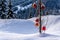 Red Christmas decoration hanging on tree branches of a tree in a deep snow pack