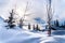 Red Christmas decoration hanging on tree branches of a tree in a deep snow pack