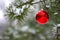Red Christmas decoration on snow-covered pine tree outdoors
