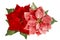 Red Christmas flower poinsettia snow decoration