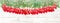 Red christmas socks and pine tree branches holidays banner