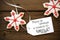 Red Christmas Star Cookies With Life Quote On It