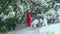 Red Christmas Star on the snow covered pine Branch,slow motion