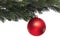Red Christmas tree ball on fir branch