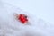The red Christmas tree ornaments lies in the fluffy snow.