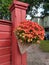 red chrysanthemums in a knitted flower pot on a red wooden fence