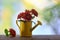 Red chrysanthemums in watering can