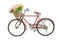 Red classic bike with flower in basket isolate