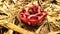 Red clathre, mushroom in the form of a wire