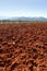 Red clay soil texture on a sunny morning