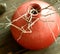 Red clay vase with dry twigs on wooden