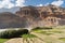 Red cliff and buckwheat paddy in Chuksang village, Upper Mustang trekking route, Himalaya mountain range in Nepal