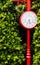 Red clock pole vintage style with green bush