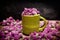 Red clover for tea, Trifolium pratense