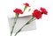 Red cloves flower and empty envelope