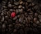 Red coffee bean standing out from the others, be different, stand out, be original