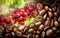Red Coffee beans on branch tree and roasted coffee bean texture background