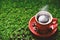 Red coffee cup on the green grass with copy space for text or advertising, Drinking concept, Love concept, Relax concept,