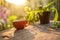 Red coffee cup on wooden table morning nature light in garden concept