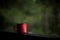 A red coffee mug stands on the railing of the wooden verandah, steam escapes from it