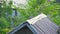 Red collared doves standing on barn roof