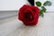 The red color of the rose symbolizes love that is as mesmerizing as the irresistible beauty of a rose.