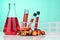 Red color unrefined palm oil and fruits with beaker test tube in laboratory