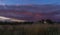 Red colored clouds and yellow vegetation