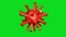 Red-colored Covid-19 or Coronavirus model rotating over greenscreen background.