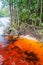 Red colored water of Churun river in National Park Canaima, Venezuel