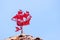 Red colored weather vane depicting a boat with sails stretched by the wind; blue sky background; San Francisco, California