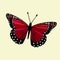 Red colored Winged Monarch - Butterfly Vector