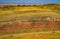 The red colorful canyon areas  in the Bighorn River landscape