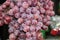 Red colour Grapes hanging on a fruit shop beautiful stock photo