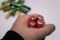 Red colours of batteries in hand on a white background. Close up of positive ends batteries, selective focus. Used battery for