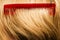 Red comb on blond hair