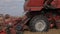 The red combine harvester rides through the field. Close-up. Details and mechanisms of the combine in operation.
