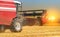 Red combine harvester soybean harvest against the backdrop of the sun in the sky. The farm operates in the field in the autumn sea