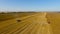 Red combines harvest sunflower during the day. Aerial shoot