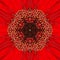 Red Concentric Flower Center. Mandala Kaleidoscopic design