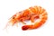 Red cooked tiger king prawn or shrimp isolated on white background with clipping path