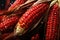 Red corn on a dark background. Selective focus. Toned, imagine Recreation artistic of cobs corn in a maizefield with red corn