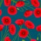 Red Corn Poppy on Indigo Blue Background. Vector Illustration