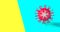 Red covid-19 virus on blue and yellow background in flat lay style