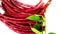 Red cowpea herbaceous lal barbatti stock